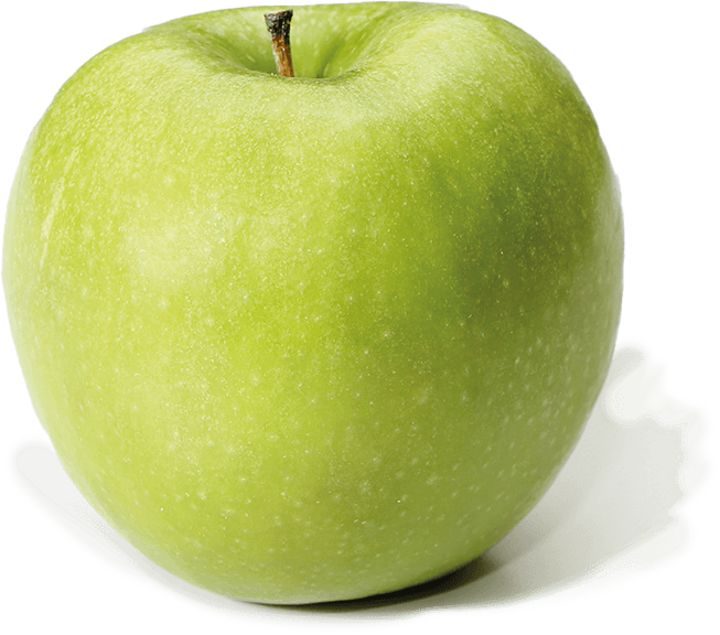 3 Tagereise – Altes Land, Stade, Hamburg