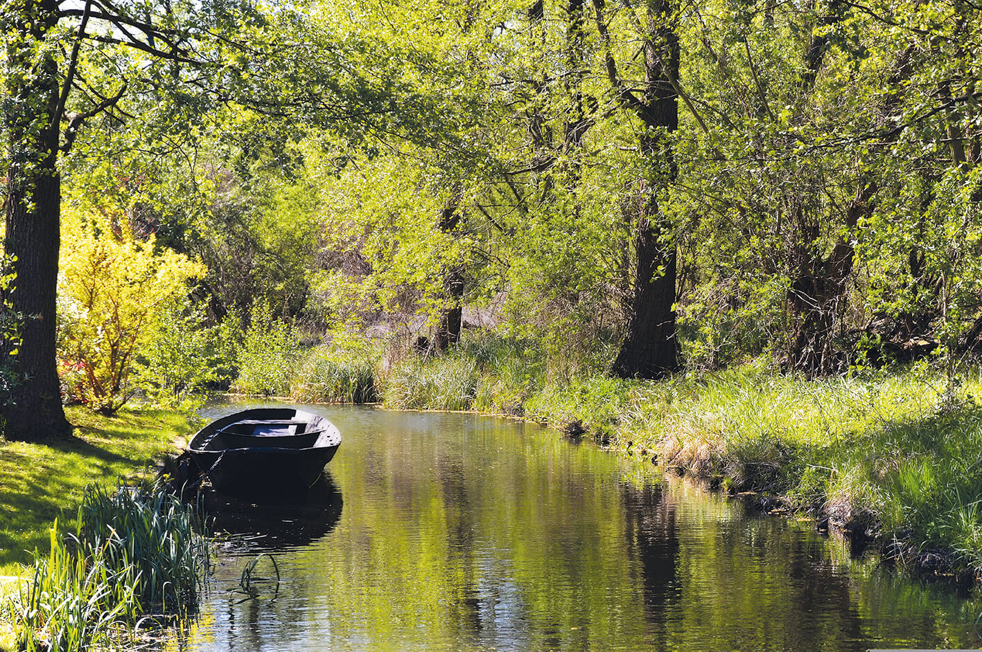 4 Tagesreise in den Spreewald