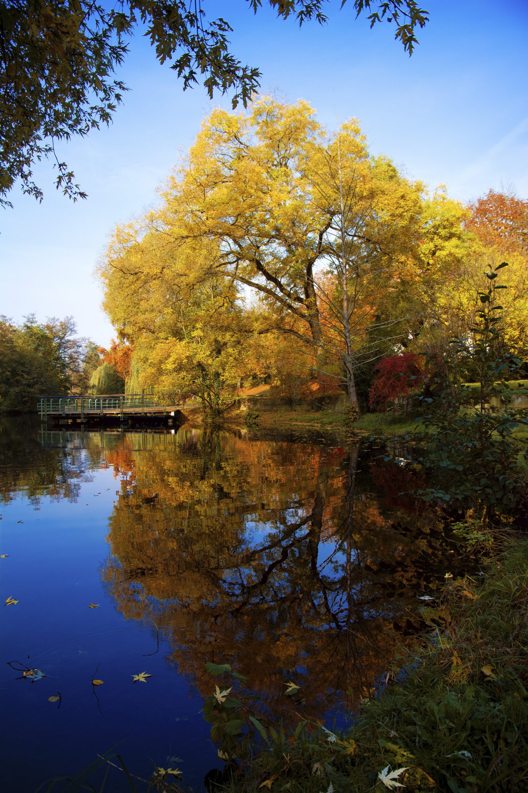 Der Herbst in Franken bietet bunte Landschaften, Weinlese und Wanderungen. Erleben Sie mit uns eine wunderschöne Reise.